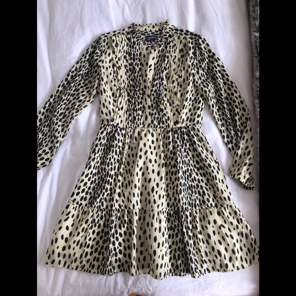 J.Crew mercantile leopard drop waist dress